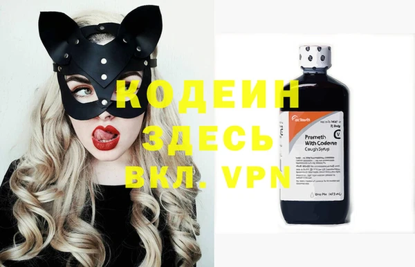 ECSTASY Алзамай