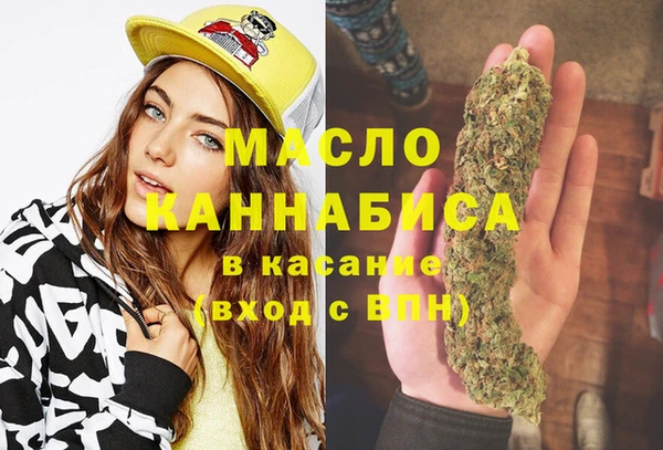 индика Михайловск