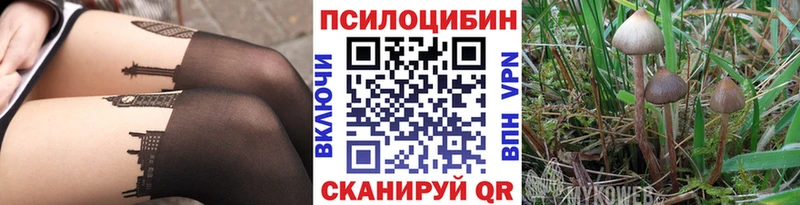 Псилоцибиновые грибы мухоморы  наркота  Приозерск 